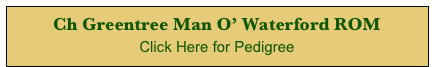 Ch Greentree Man O’ Waterford ROM 
Click Here for Pedigree