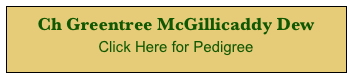 Ch Greentree McGillicaddy Dew 
Click Here for Pedigree