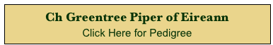 Ch Greentree Piper of Eireann 
Click Here for Pedigree 