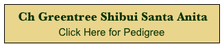  Ch Greentree Shibui Santa Anita 
Click Here for Pedigree 