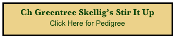 Ch Greentree Skellig’s Stir It Up
Click Here for Pedigree