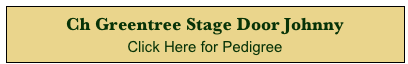 Ch Greentree Stage Door Johnny 
Click Here for Pedigree 