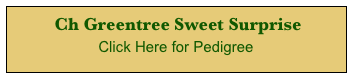  Ch Greentree Sweet Surprise 
Click Here for Pedigree