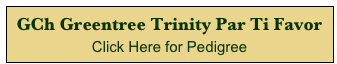 GCh Greentree Trinity Par Ti Favor
Click Here for Pedigree 