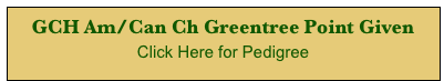 GCH Am/Can Ch Greentree Point Given 
Click Here for Pedigree