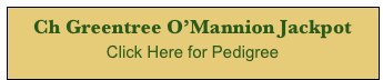 Ch Greentree O’Mannion Jackpot
Click Here for Pedigree