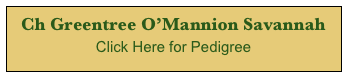 Ch Greentree O’Mannion Savannah
Click Here for Pedigree