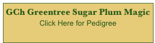 GCh Greentree Sugar Plum Magic
Click Here for Pedigree