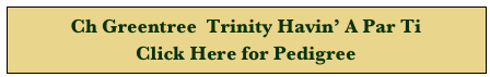 Ch Greentree  Trinity Havin’ A Par Ti 
Click Here for Pedigree 