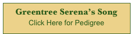 Greentree Serena’s Song
Click Here for Pedigree