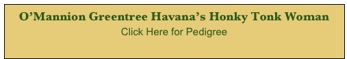 O’Mannion Greentree Havana’s Honky Tonk Woman
Click Here for Pedigree